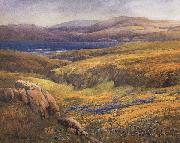unknow artist Point Lobos in the Springtime oil on canvas